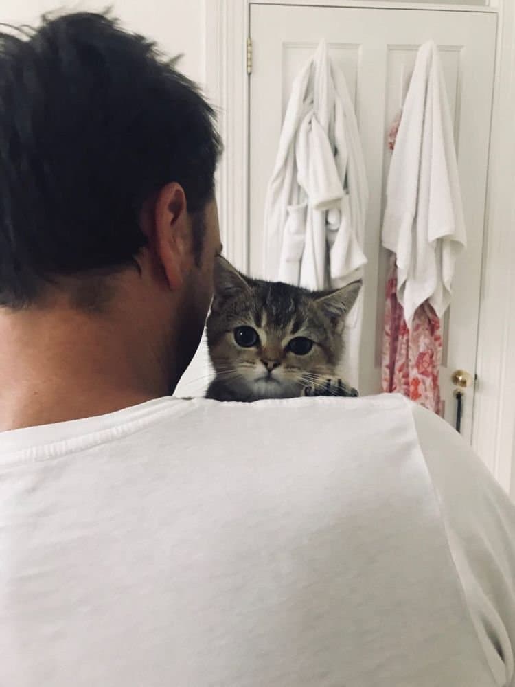 A kitten perched on Tristan’s shoulder