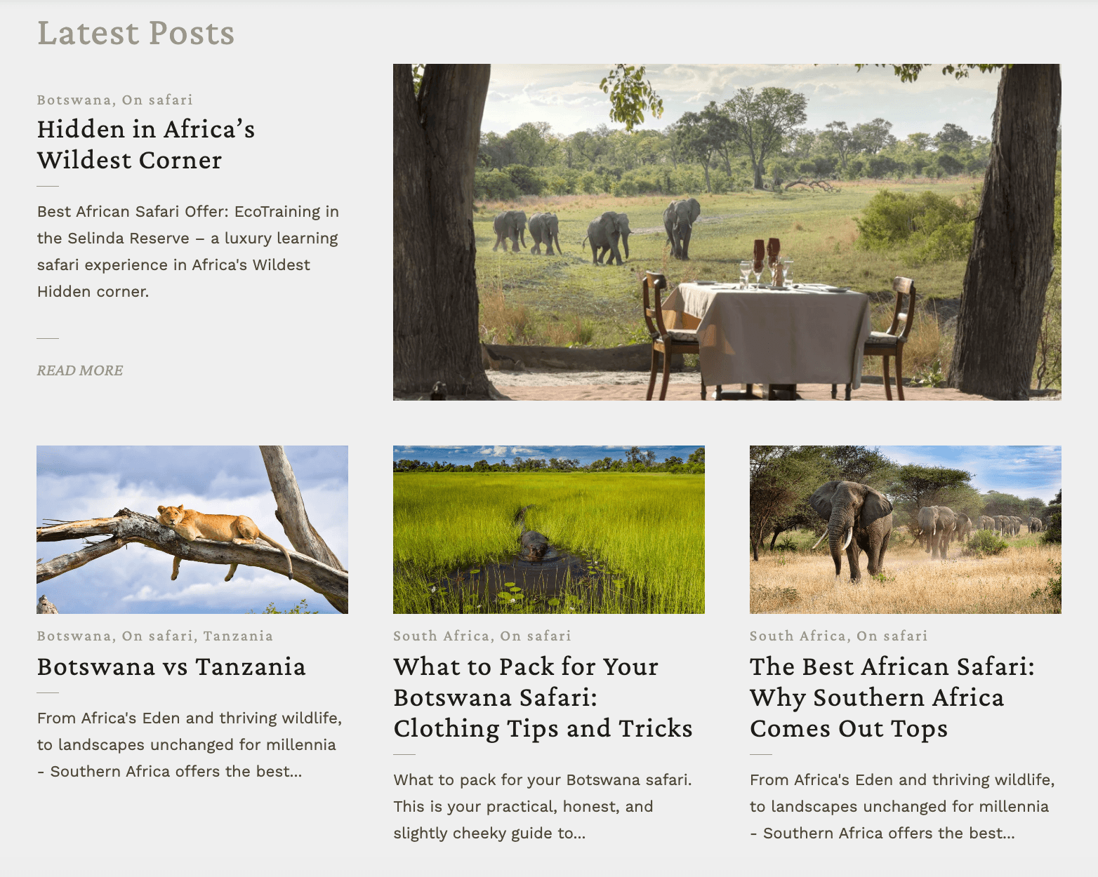 Hidden Africa screenshot